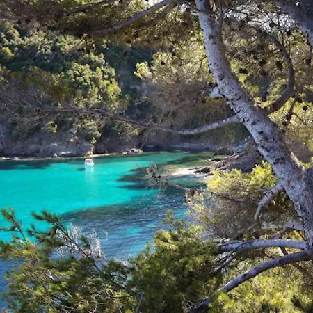 Studio 207-Les pieds dans l’eau à 30m de la plage Cavalaire-sur-Mer